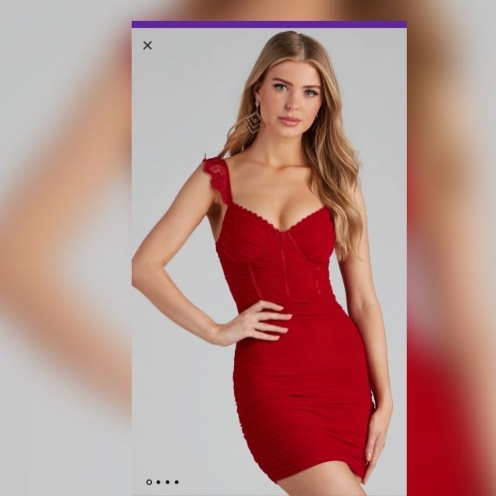 Windsor Lace Vixen Ruched Mesh Mini Dress.